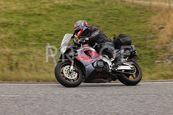 Steve - 3N3A9999 (4936)