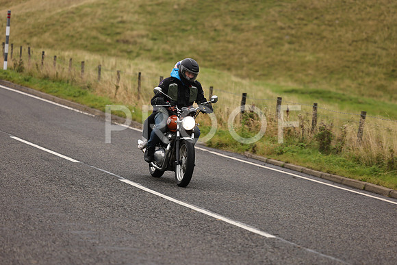Steve - 3N3A9999 (1175)