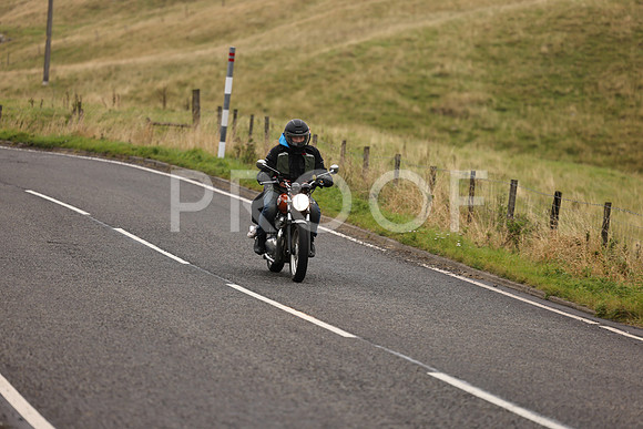 Steve - 3N3A9999 (1167)