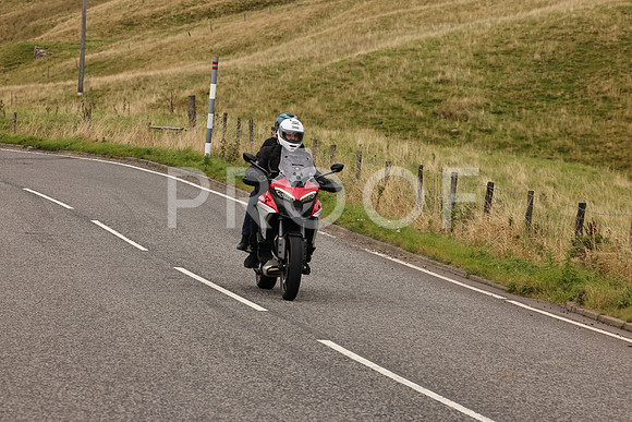 Steve - 3N3A9999 (5019)