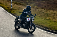 250A6709