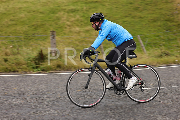 Steve - 3N3A9999 (1137)