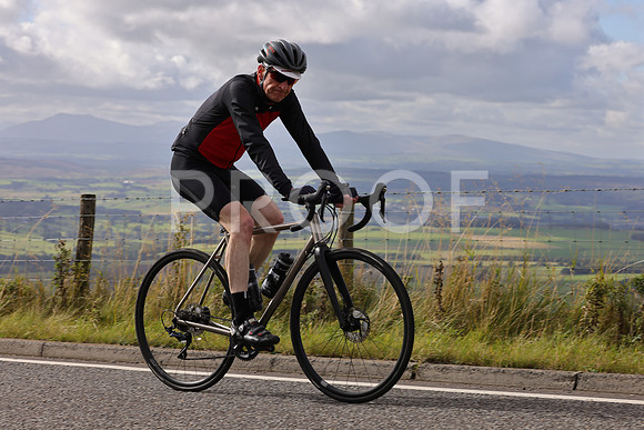 Dave - 3N3A061400 (242)