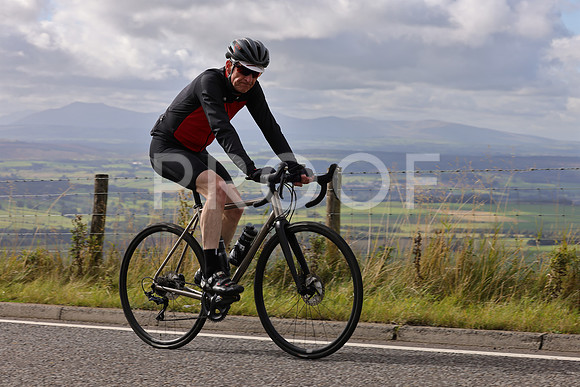 Dave - 3N3A061400 (241)