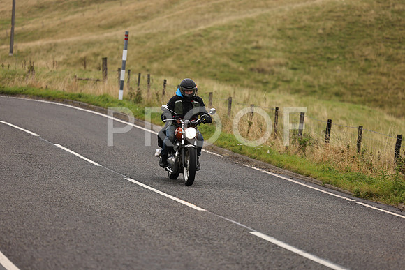 Steve - 3N3A9999 (1170)