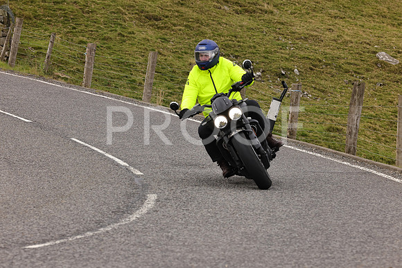 Steve - 3N3A9999 (4957)