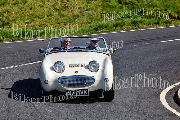 Daves (59)