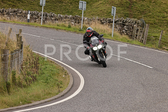 Steve - 3N3A9999 (4920)