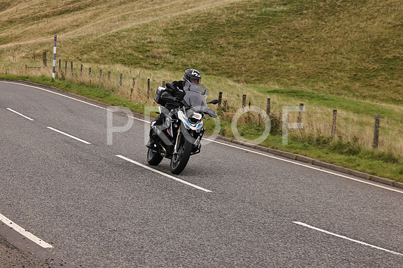 Steve - 3N3A9999 (3031)