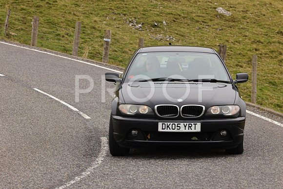 Steve - 3N3A9999 (2157)