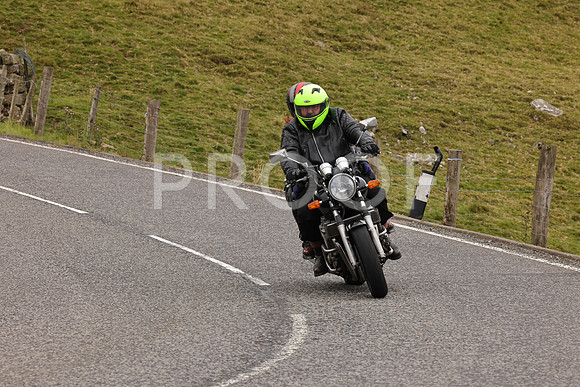 Steve - 3N3A9999 (4793)