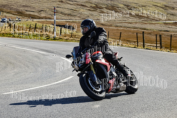 250A0673 (2)