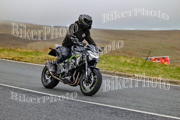250A1399