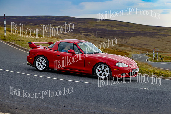 250A7911 (2)