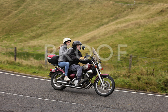 Steve - 3N3A9999 (1209)