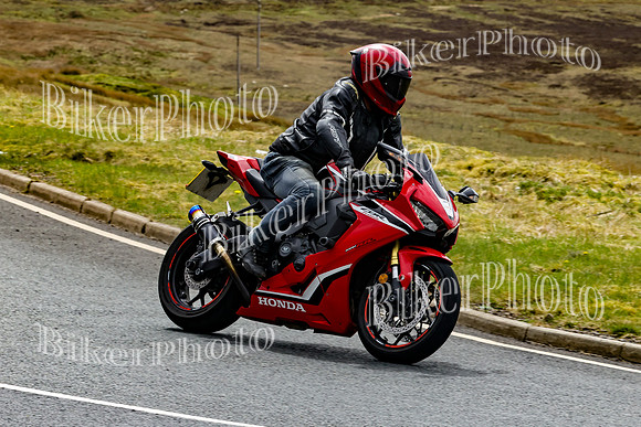 250A2774