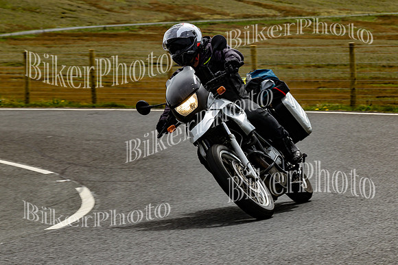 250A7919