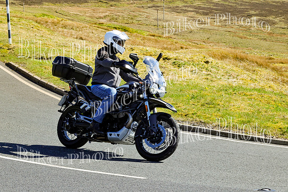 250A4964 (2)