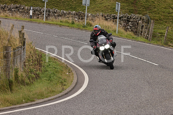 Steve - 3N3A9999 (4923)