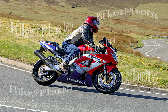 250A8369