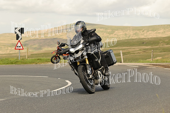 250A7826