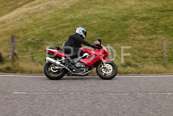 Steve - 3N3A9999 (4893)
