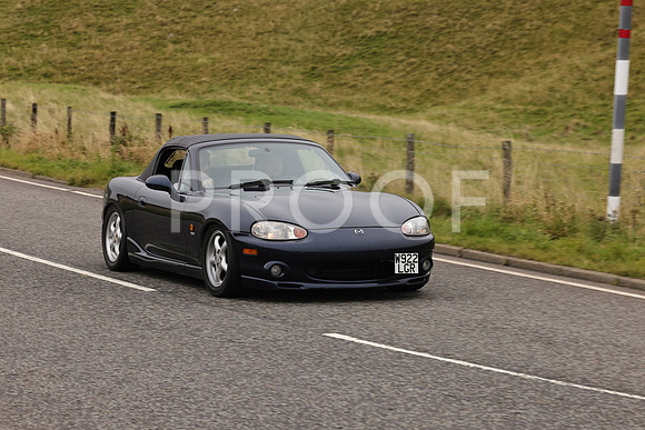 Steve - 3N3A9999 (2092)