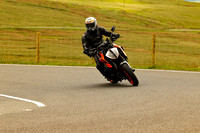250A4933