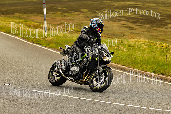 250A1566