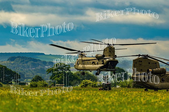 Spadeaddam (80)