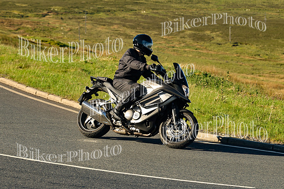 250A2013