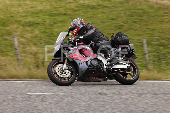 Steve - 3N3A9999 (4937)