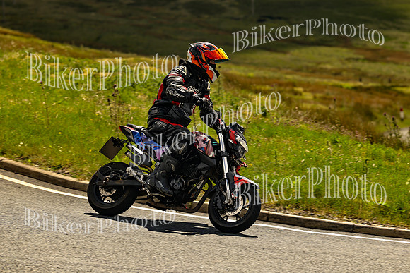 250A2050