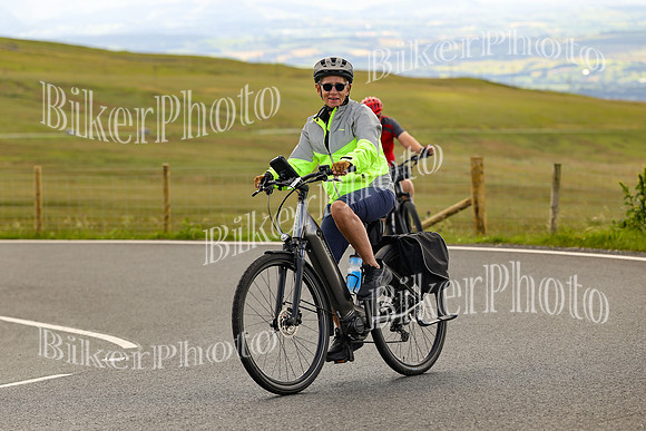 250A3294