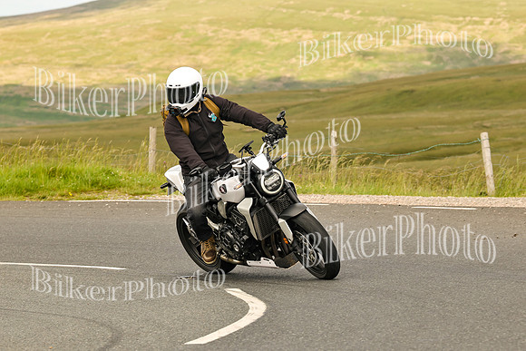 250A8012