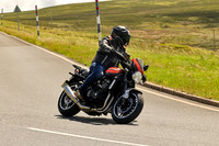 250A2481