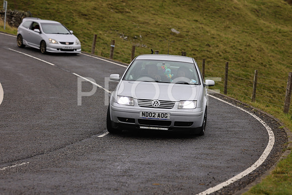 Steve - 3N3A9999 (1608)