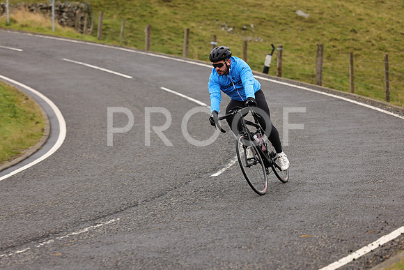 Steve - 3N3A9999 (1136)