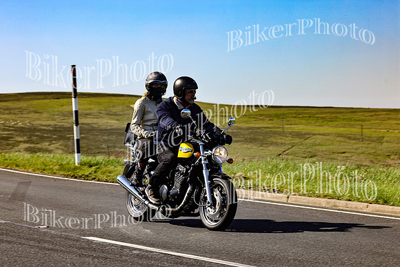 Daves (50)