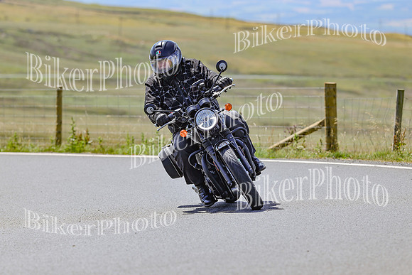 250A0427 (2)