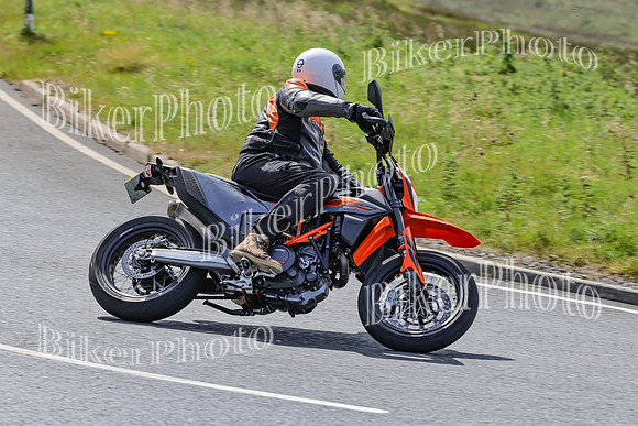 BikerPhoto (2862 of 7008)