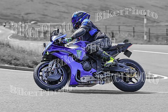 BikerPhoto (2878 of 7008)