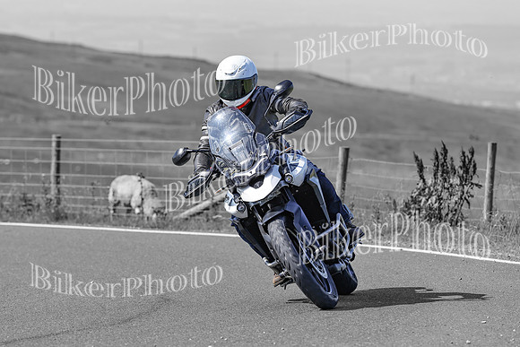 BikerPhoto (1194 of 7008)