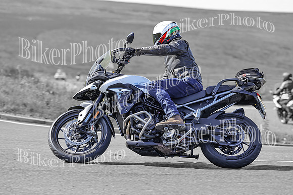 BikerPhoto (1200 of 7008)