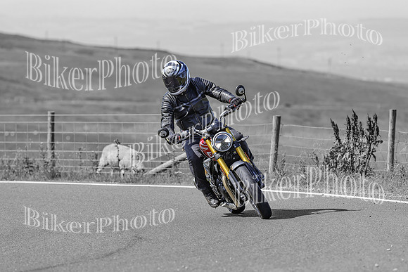 BikerPhoto (1216 of 7008)