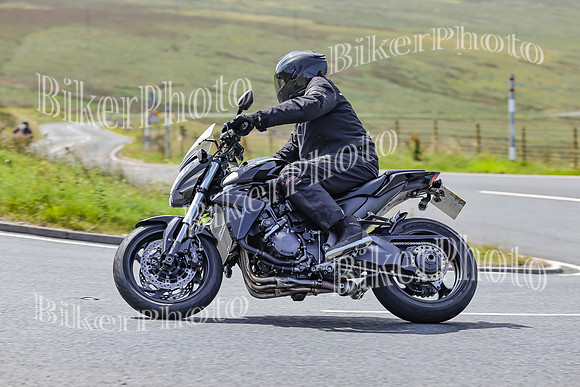 BikerPhoto (2919 of 7008)