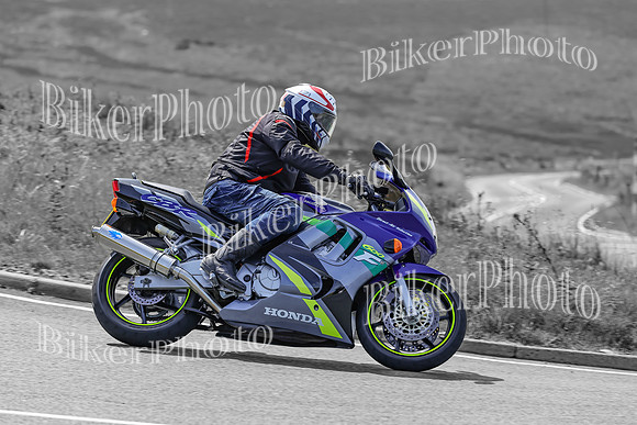 BikerPhoto (2928 of 7008)
