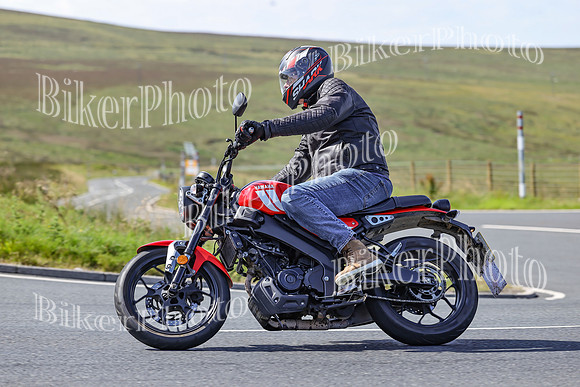 BikerPhoto (1242 of 7008)