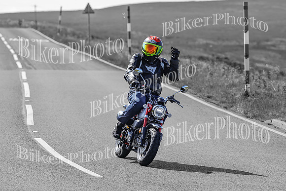 BikerPhoto (1274 of 7008)