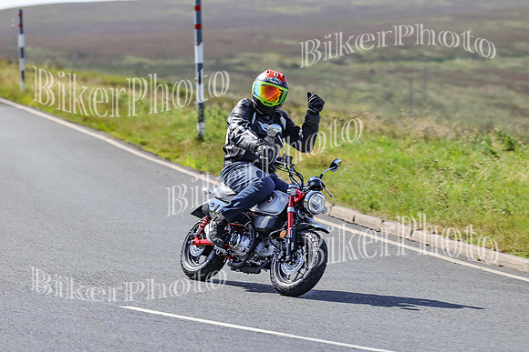 BikerPhoto (1275 of 7008)